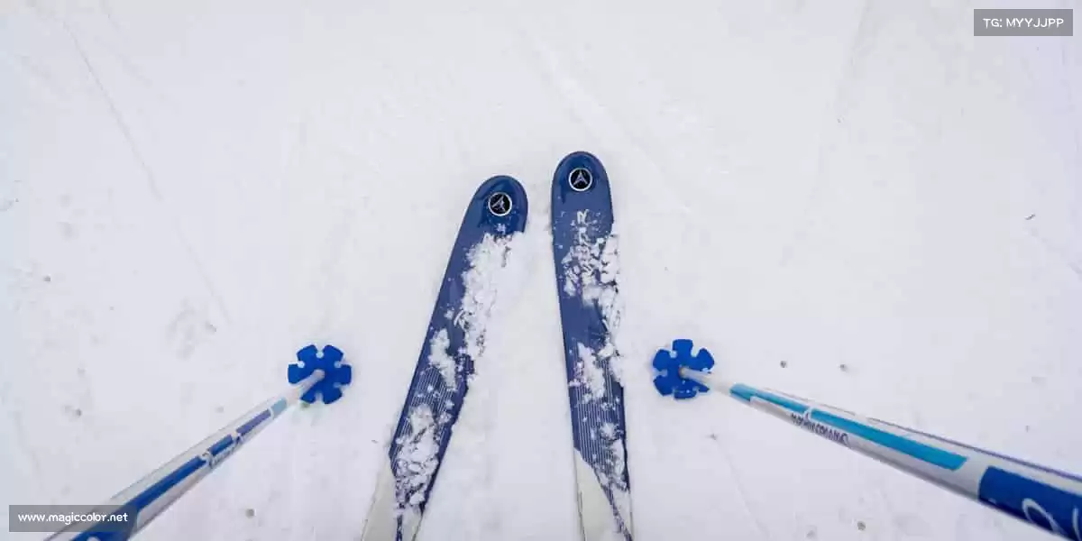 我们的品牌价值